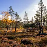 Heimstolen - At Sorbolfjell Flå