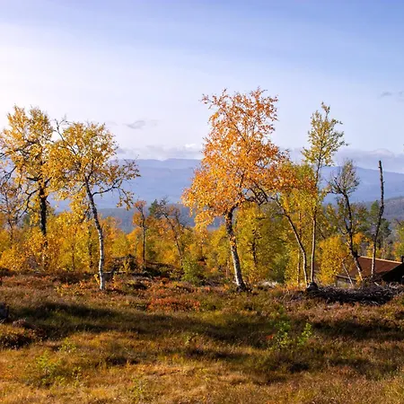 Heimstolen - At Sorbolfjell *