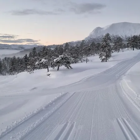Heimstolen - At Sorbolfjell