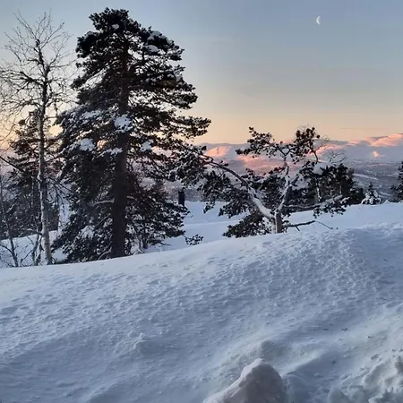 シャレー Heimstolen - At Sorbolfjell *