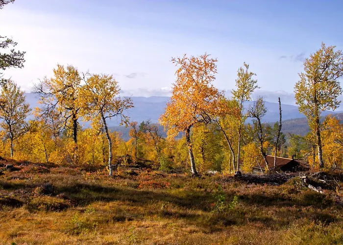 Heimstolen - At Sorbolfjell *