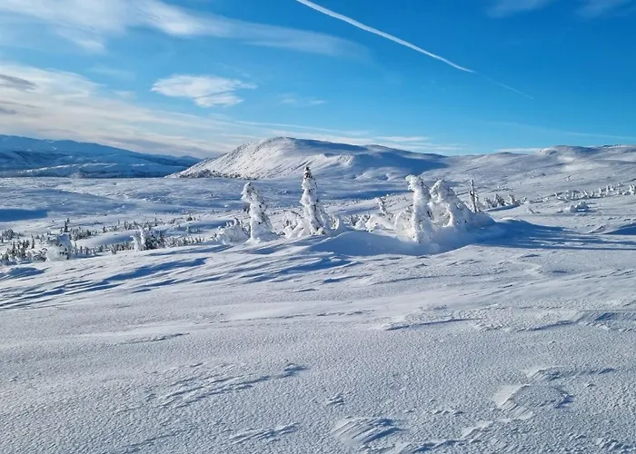 Heimstolen - At Sorbolfjell Σαλέ *
