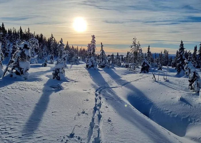 Σαλέ Heimstolen - At Sorbolfjell Flå