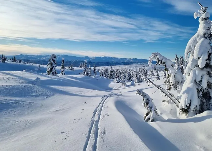 Heimstolen - At Sorbolfjell *