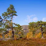 Heimstolen - At Sorbolfjell Dağ evi *