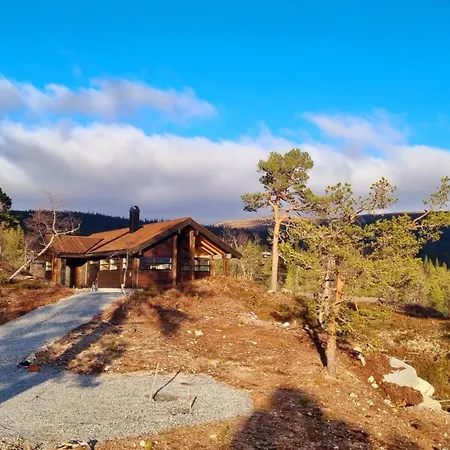 Alpehytte Heimstølen - At Sørbølfjell Flå