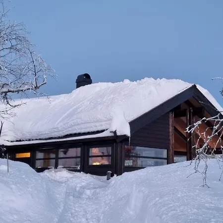 Alpehytte Heimstølen - At Sørbølfjell Flå
