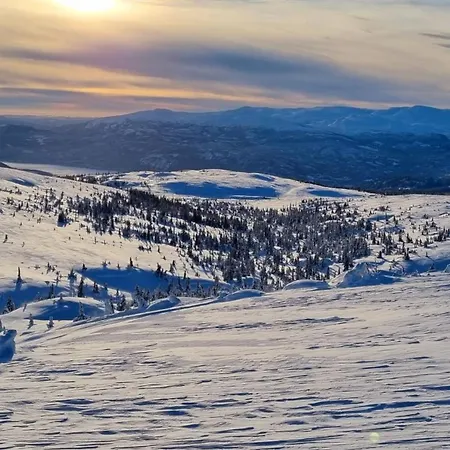 Heimstølen - At Sørbølfjell Alpehytte Flå