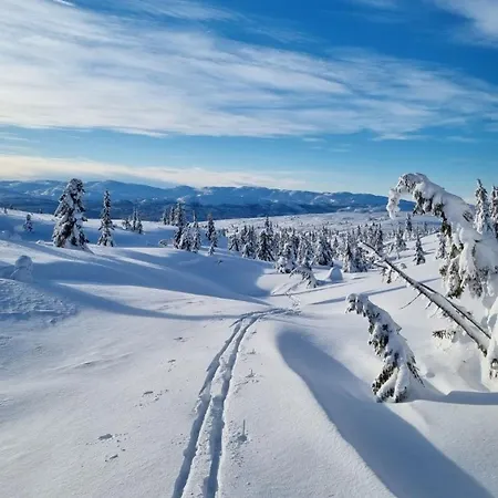 Heimstølen - At Sørbølfjell *