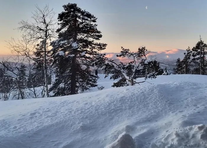 Chalet Heimstolen - At Sorbolfjell *